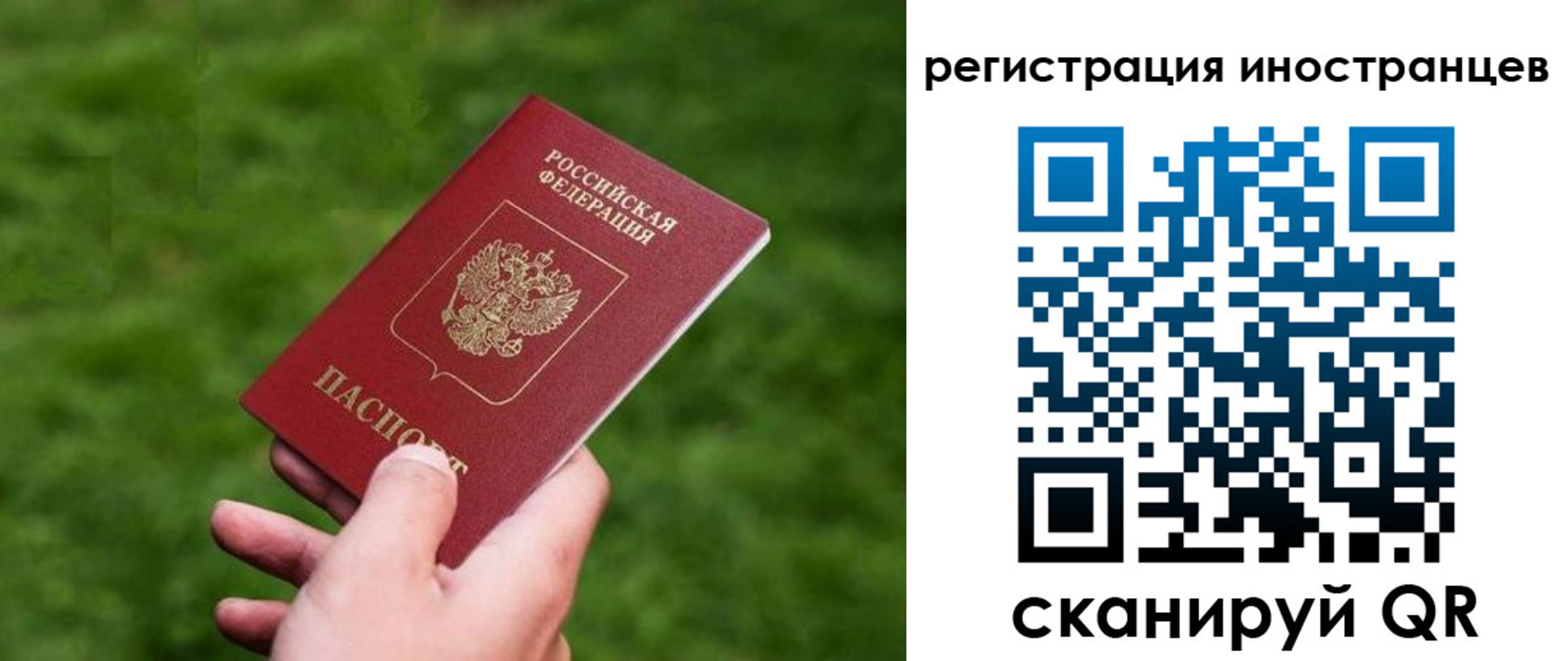 прописка ребенка в Ярославской области
